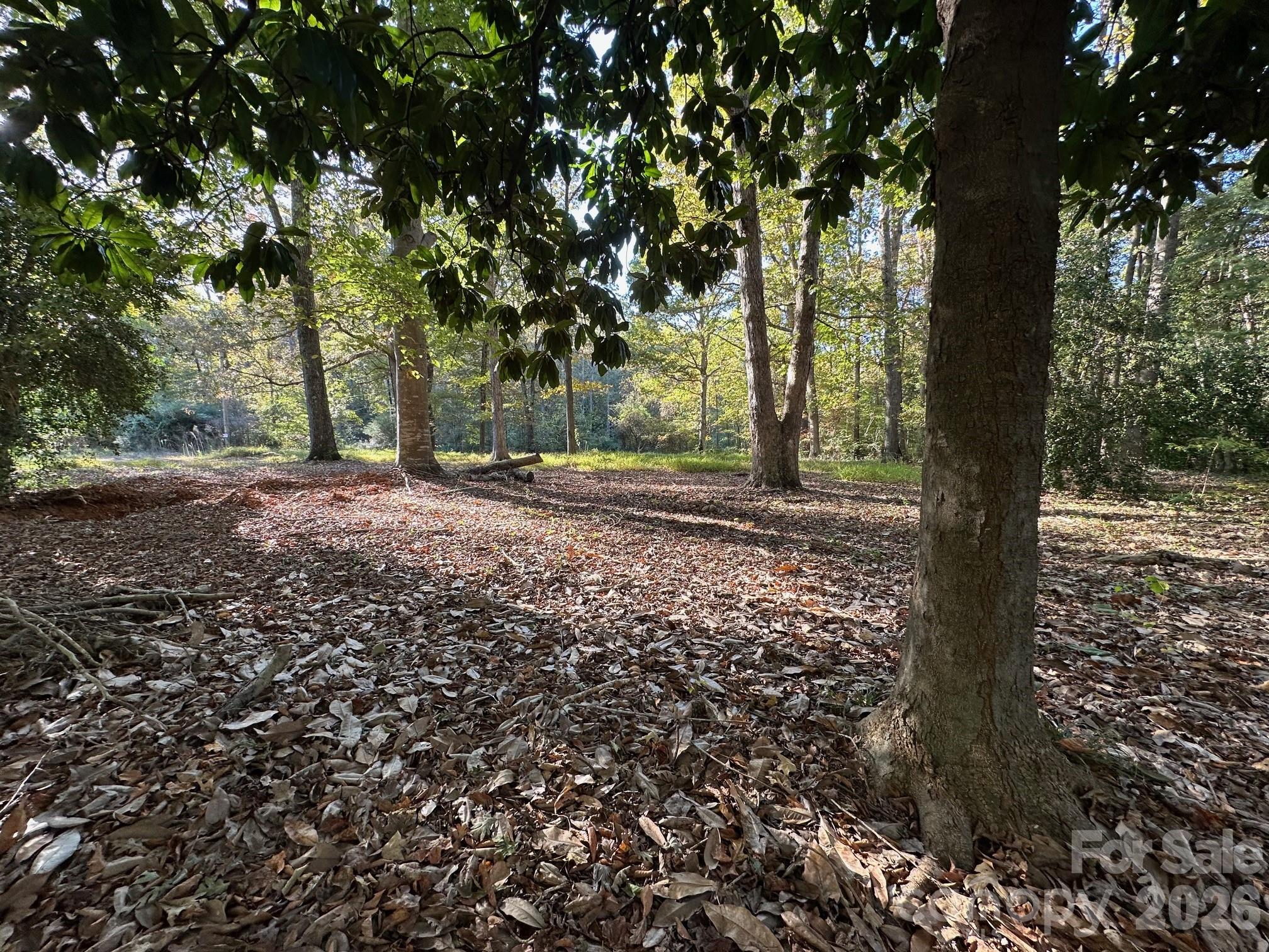 0 Courtney- Huntsville Road Yadkinville NC 27055
