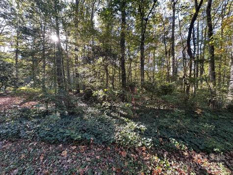 0 Courtney- Huntsville Road Yadkinville NC 27055