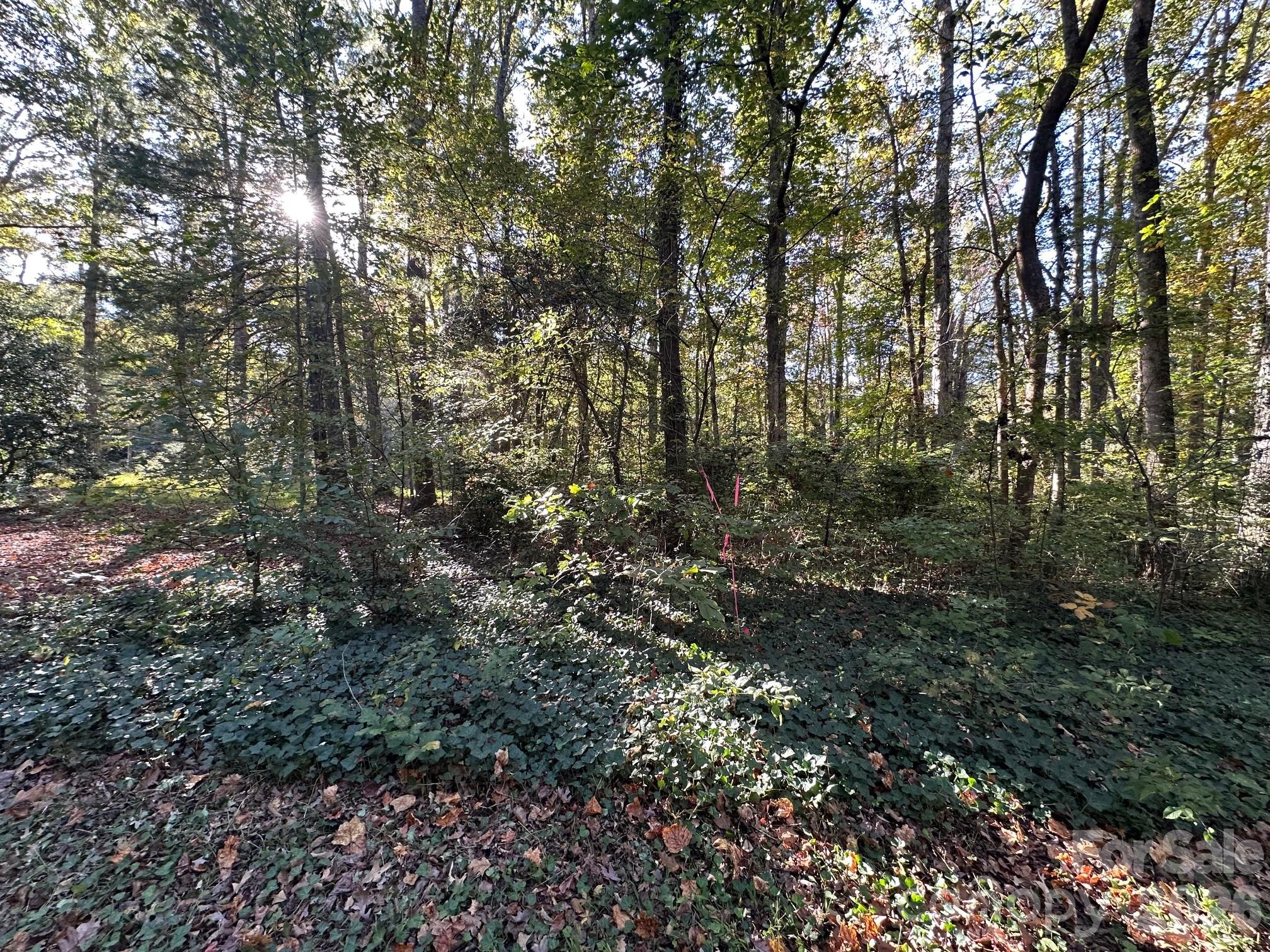 0 Courtney- Huntsville Road Yadkinville NC 27055