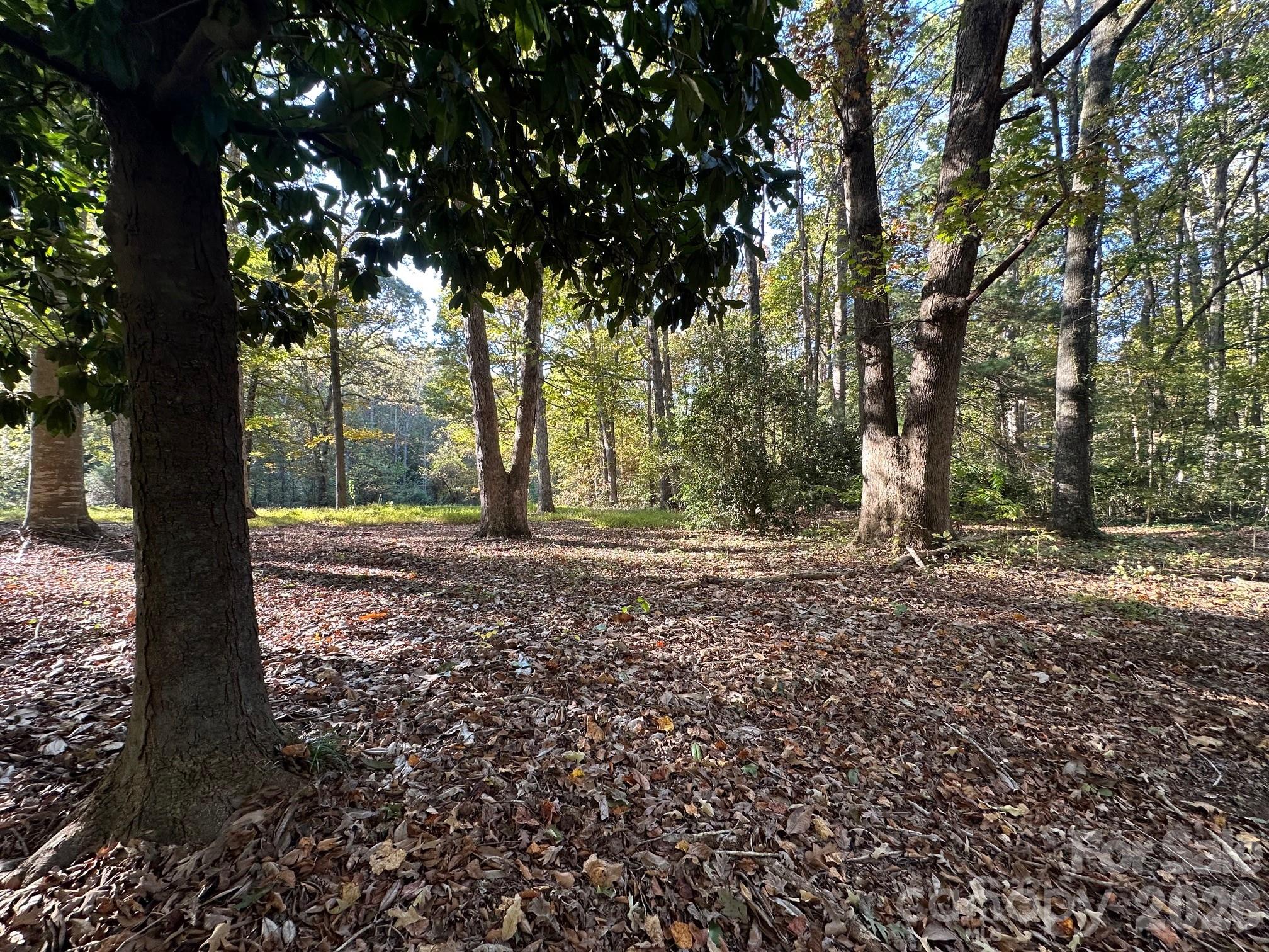 0 Courtney- Huntsville Road Yadkinville NC 27055