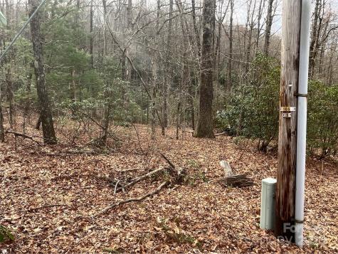999 Panther Gap Road Brevard NC 28712