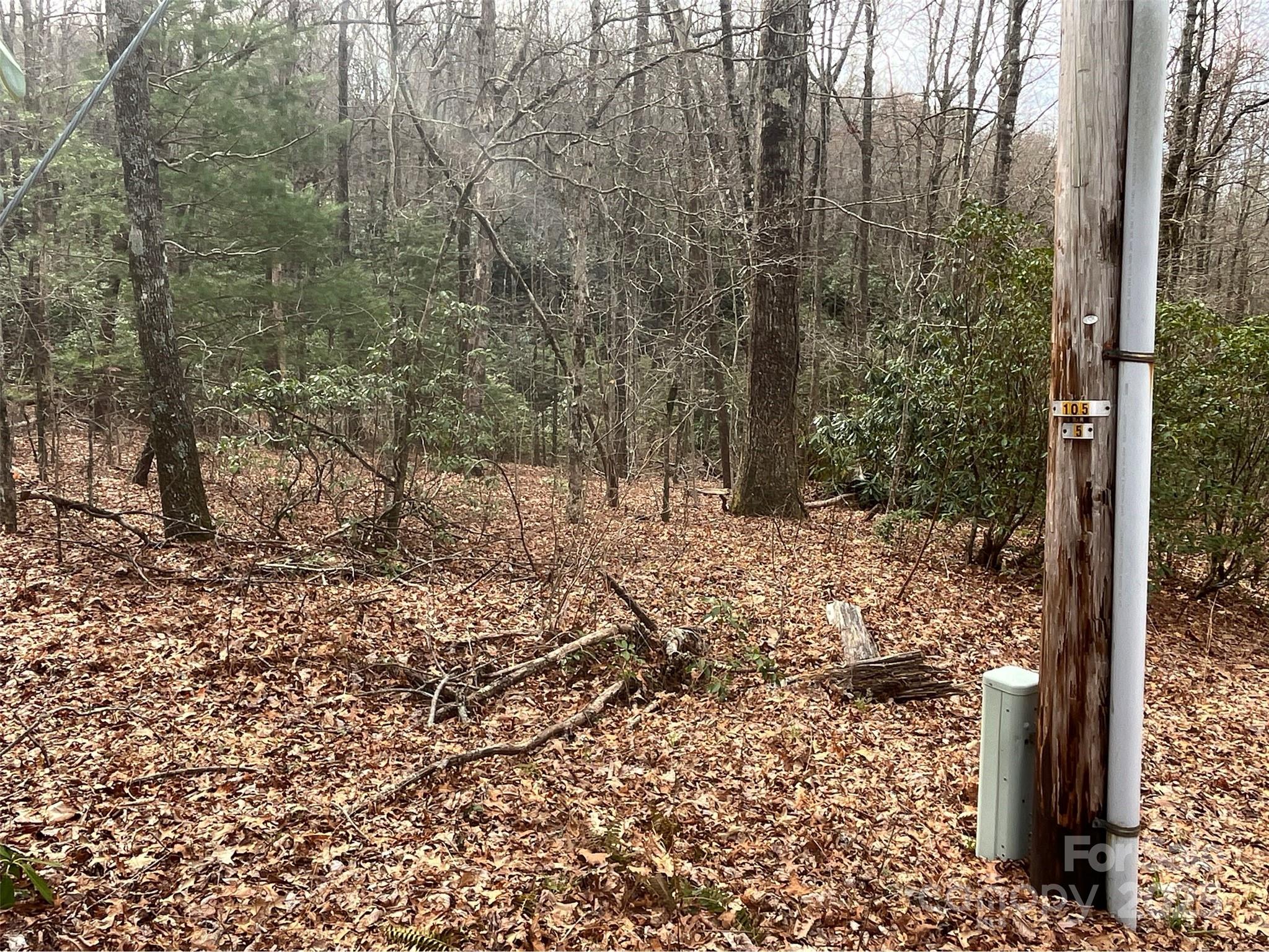 999 Panther Gap Road Brevard NC 28712