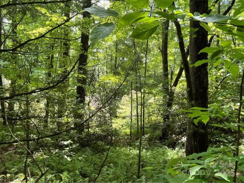 999 Panther Gap Road Brevard NC 28712