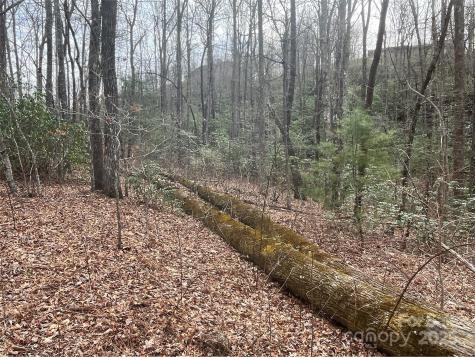 999 Panther Gap Road Brevard NC 28712