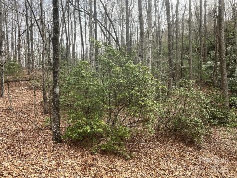 999 Panther Gap Road Brevard NC 28712