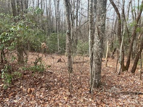 999 Panther Gap Road Brevard NC 28712