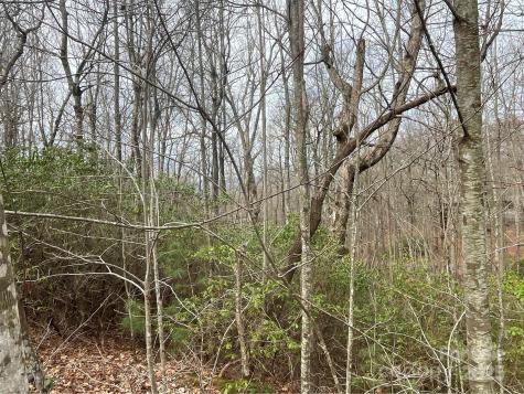 999 Panther Gap Road Brevard NC 28712