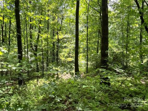 999 Panther Gap Road Brevard NC 28712