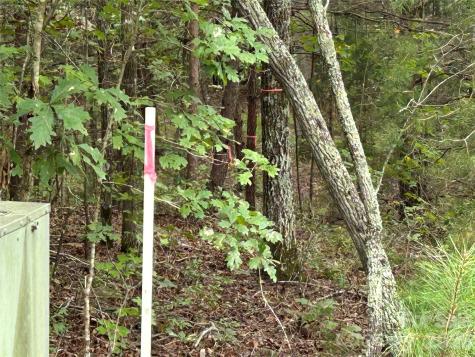 168 Robinwood Trail Bostic NC 28018