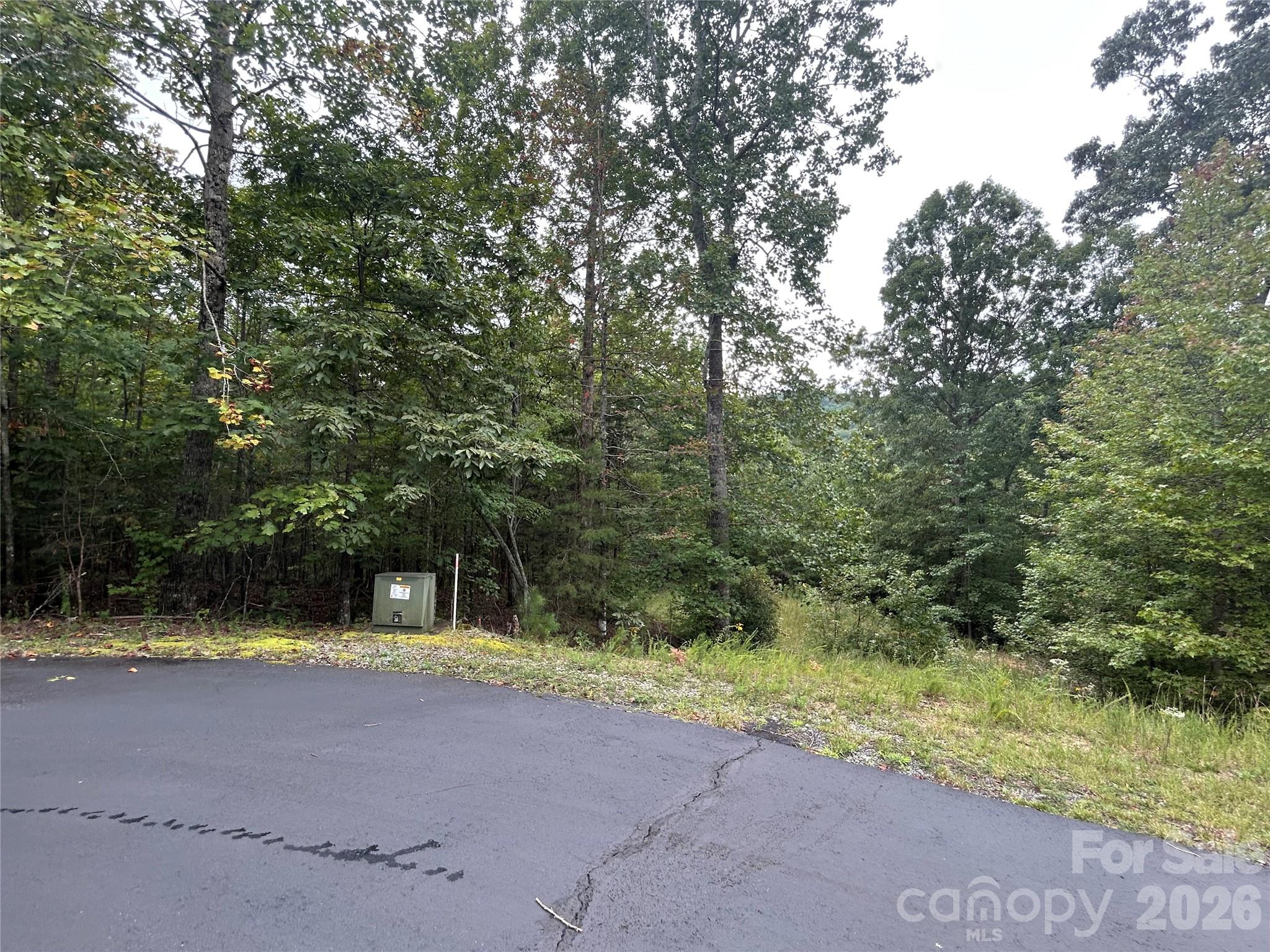 168 Robinwood Trail Bostic NC 28018