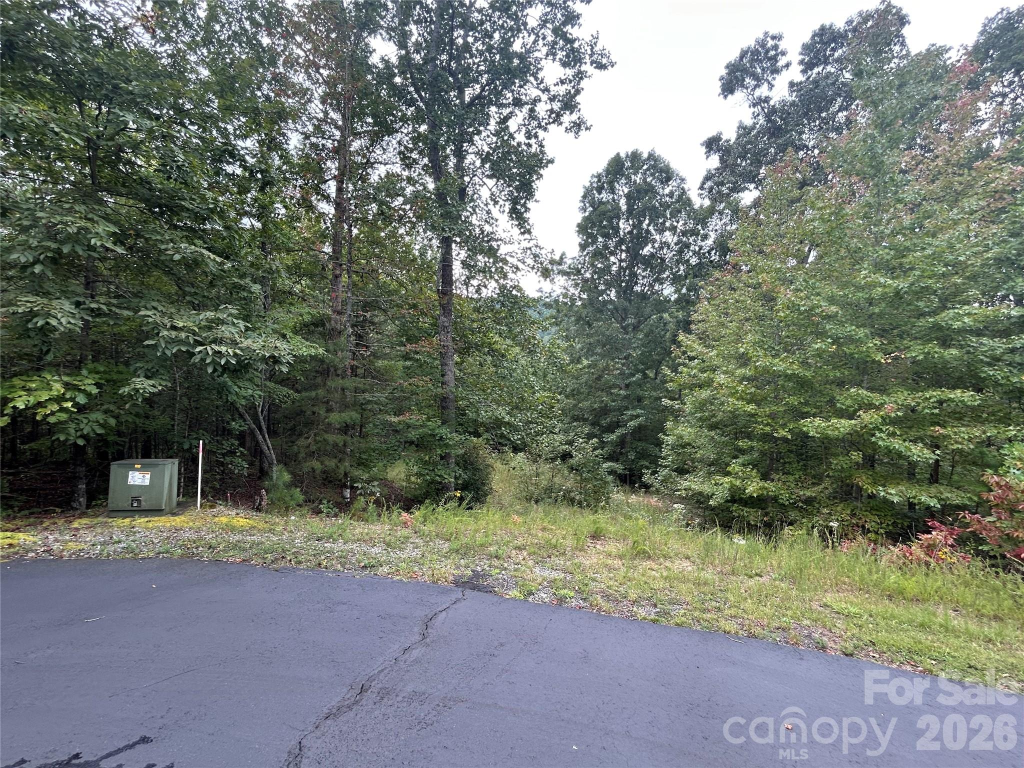 168 Robinwood Trail Bostic NC 28018