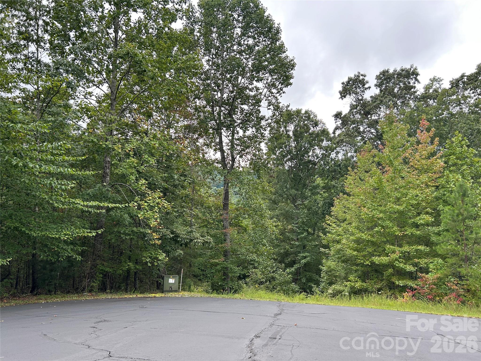 168 Robinwood Trail Bostic NC 28018