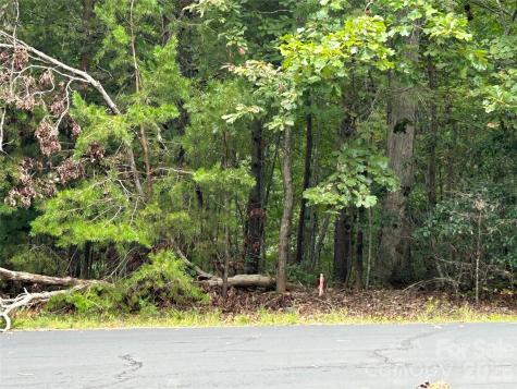168 Robinwood Trail Bostic NC 28018
