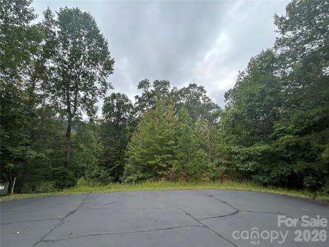 168 Robinwood Trail Bostic NC 28018