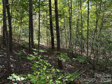 168 Robinwood Trail Bostic NC 28018