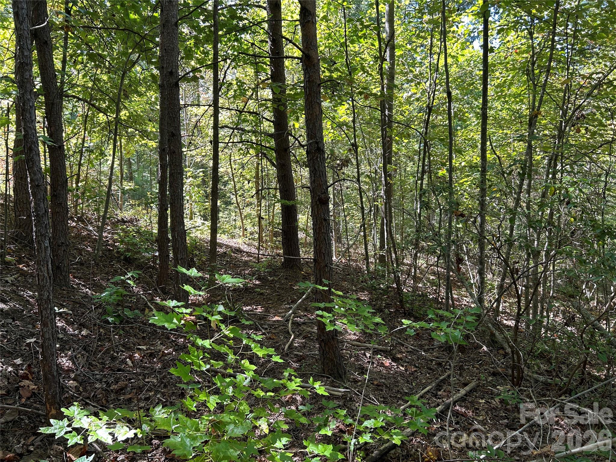 168 Robinwood Trail Bostic NC 28018