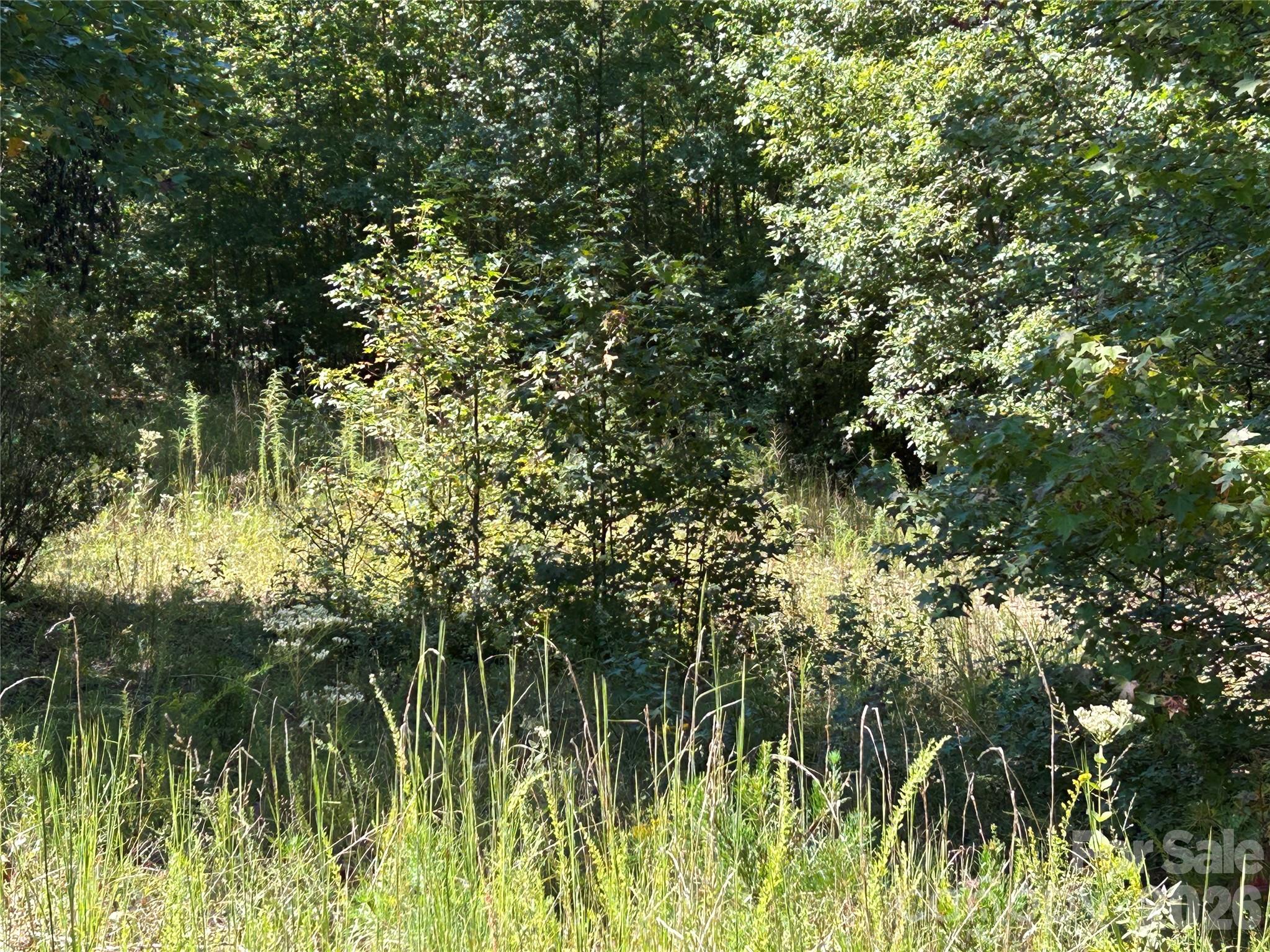 168 Robinwood Trail Bostic NC 28018