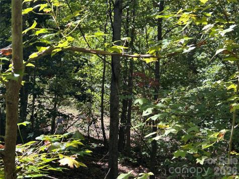 168 Robinwood Trail Bostic NC 28018