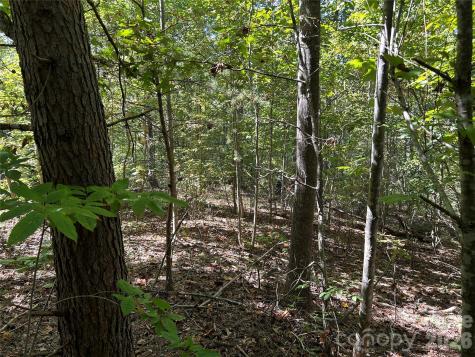 168 Robinwood Trail Bostic NC 28018