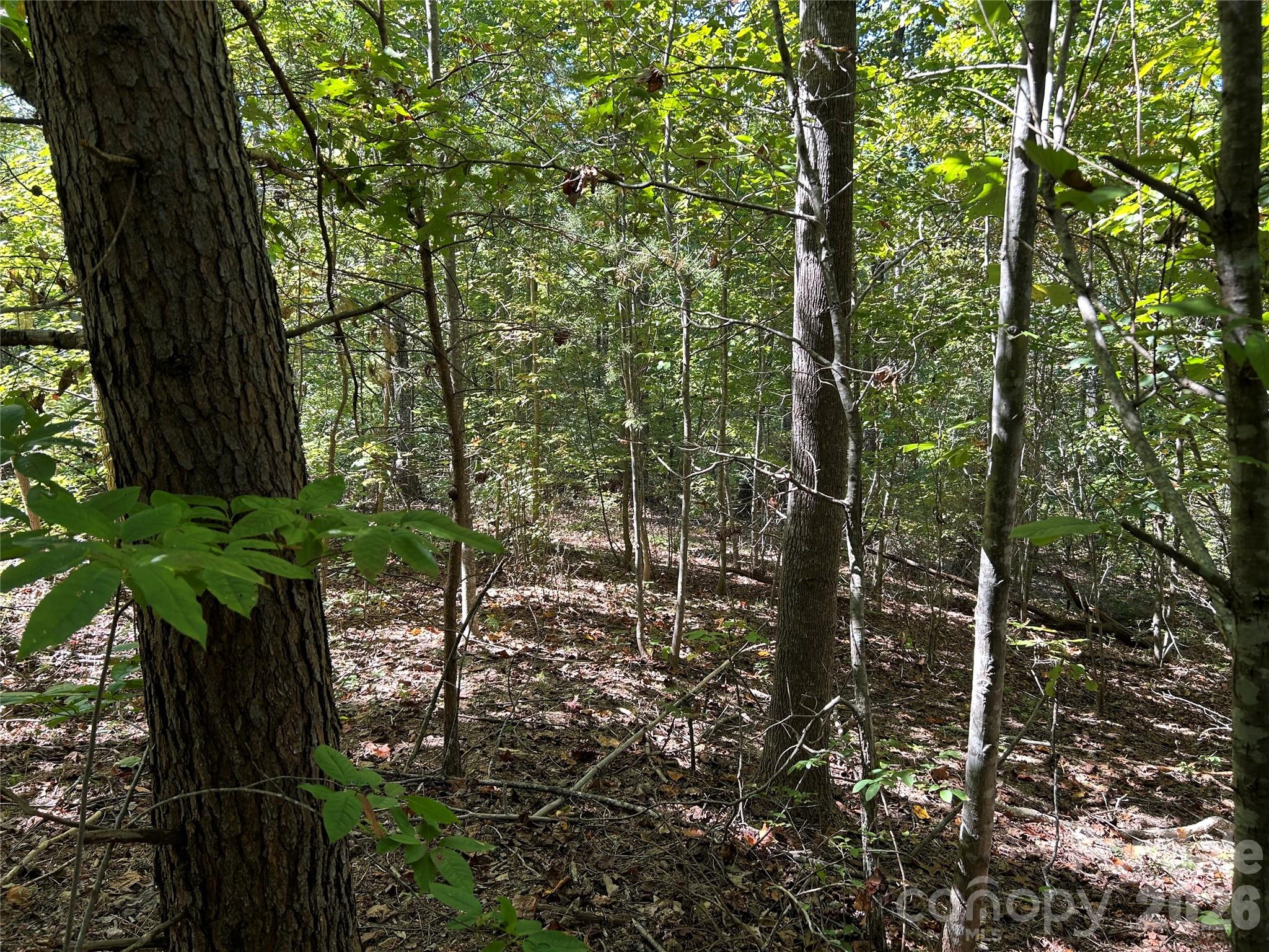 168 Robinwood Trail Bostic NC 28018