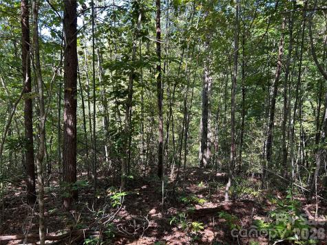 168 Robinwood Trail Bostic NC 28018