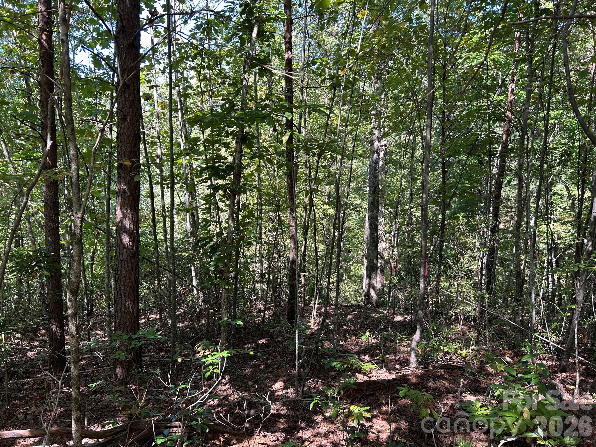 168 Robinwood Trail Bostic NC 28018