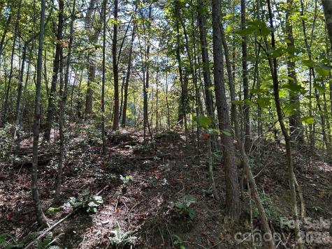 168 Robinwood Trail Bostic NC 28018