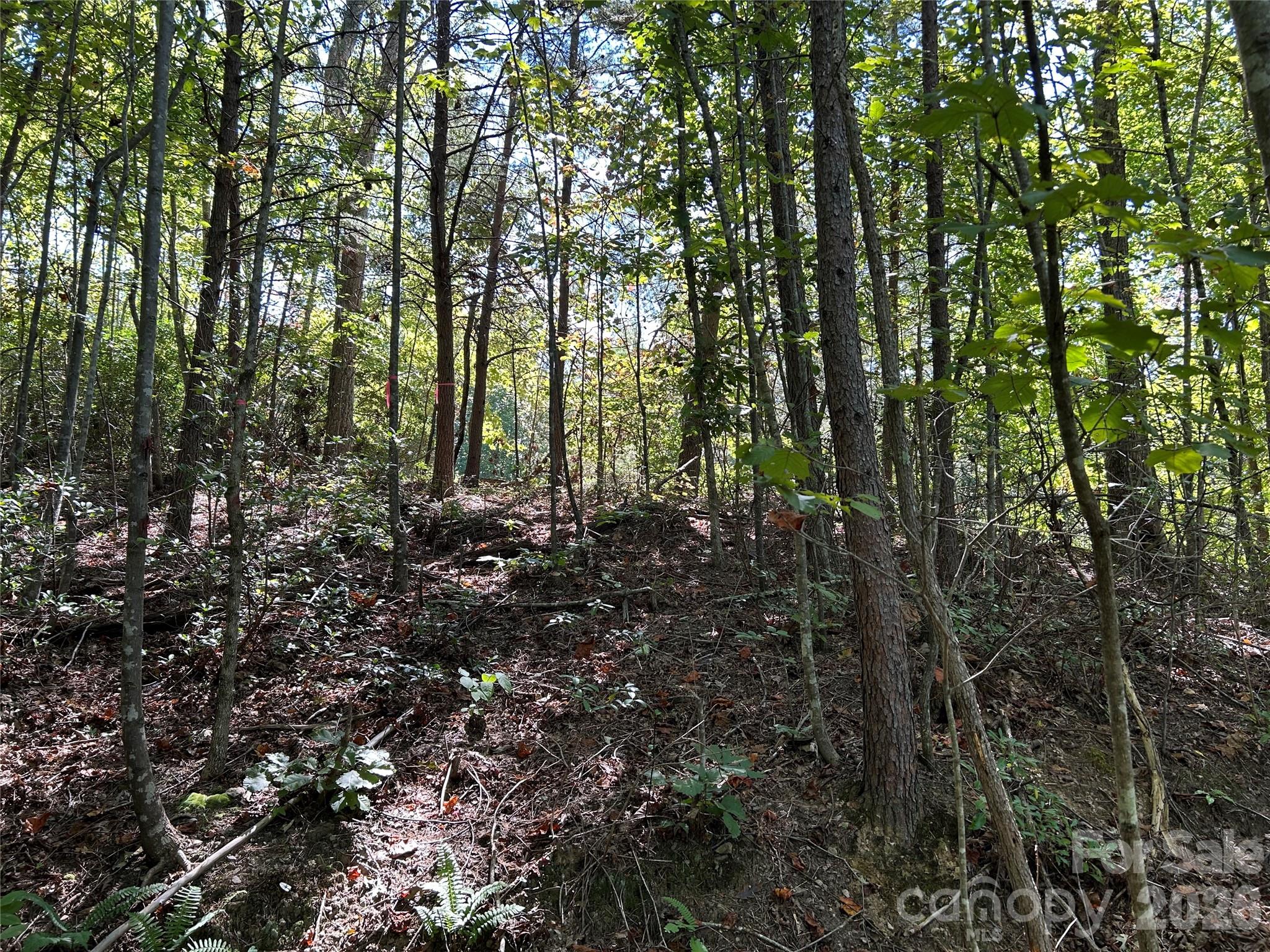 168 Robinwood Trail Bostic NC 28018