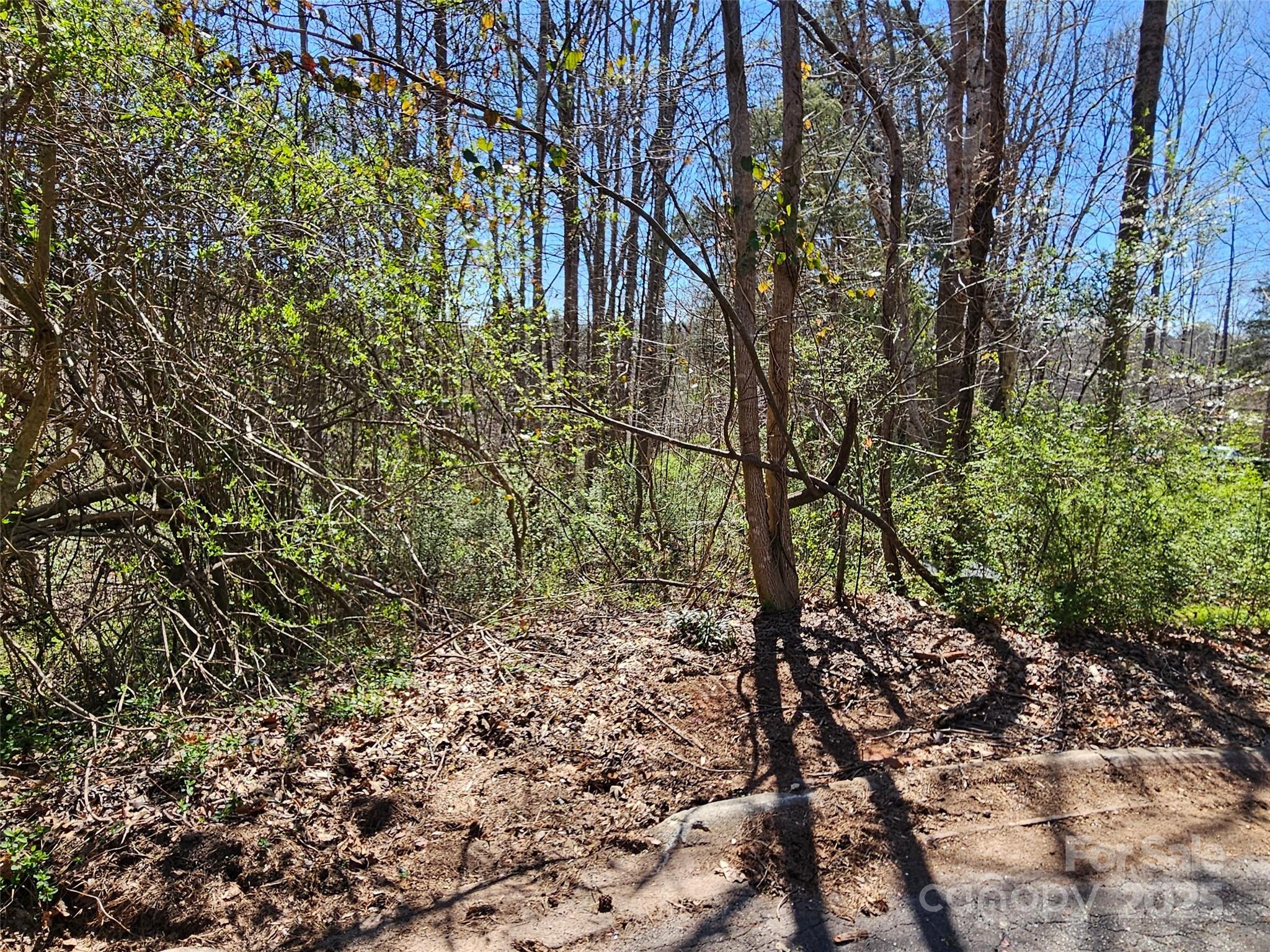 0 Gray Court Rutherfordton NC 28139