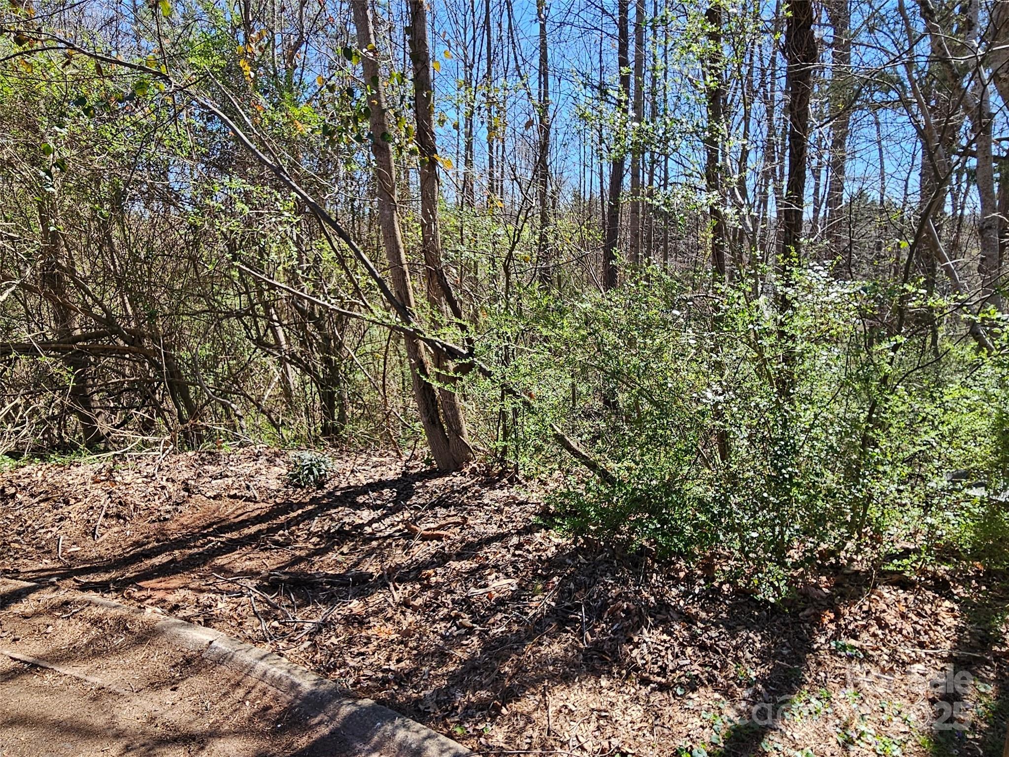 0 Gray Court Rutherfordton NC 28139