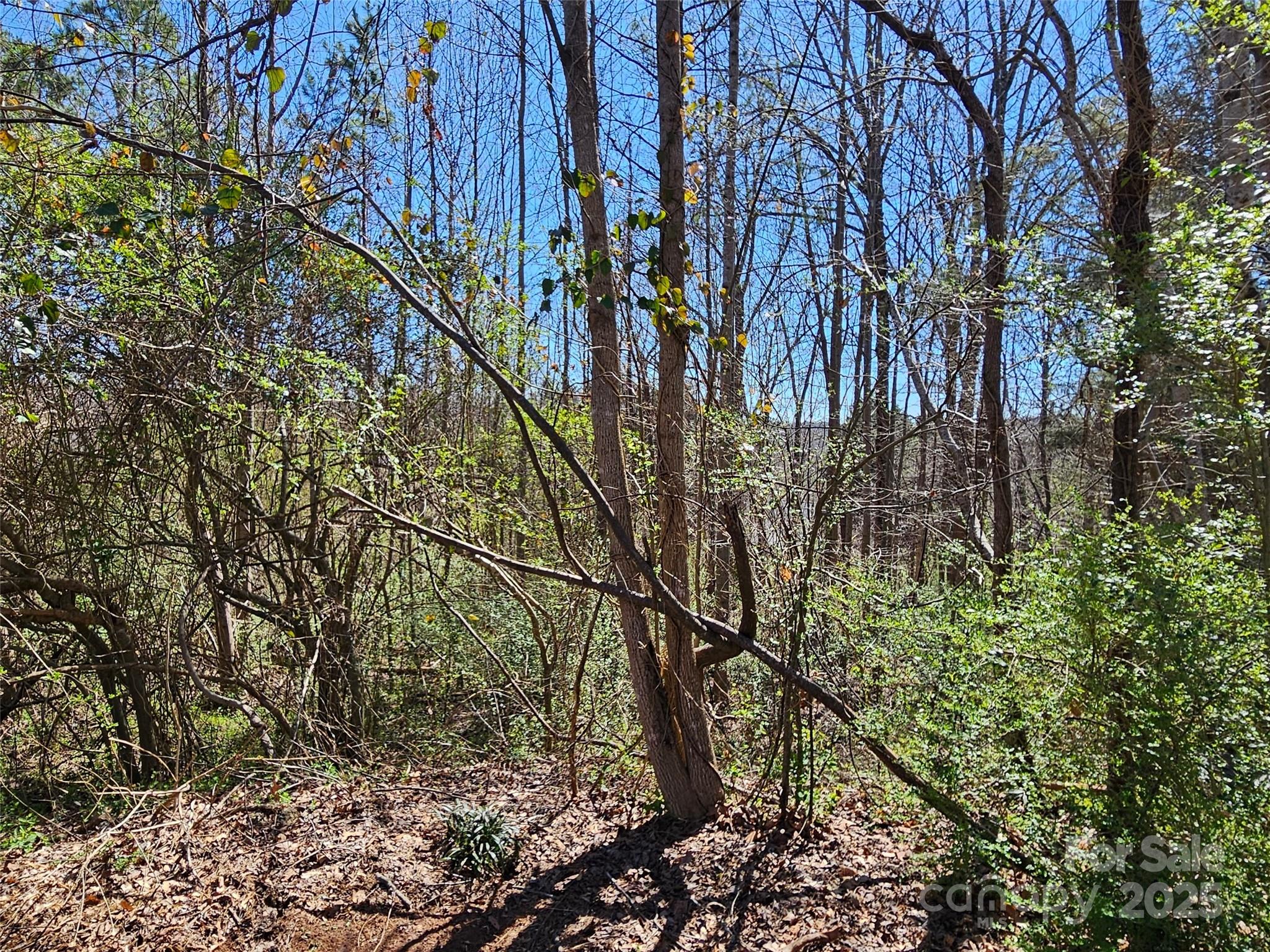 0 Gray Court Rutherfordton NC 28139