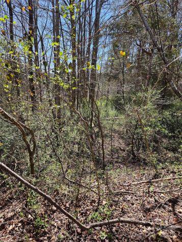 0 Gray Court Rutherfordton NC 28139
