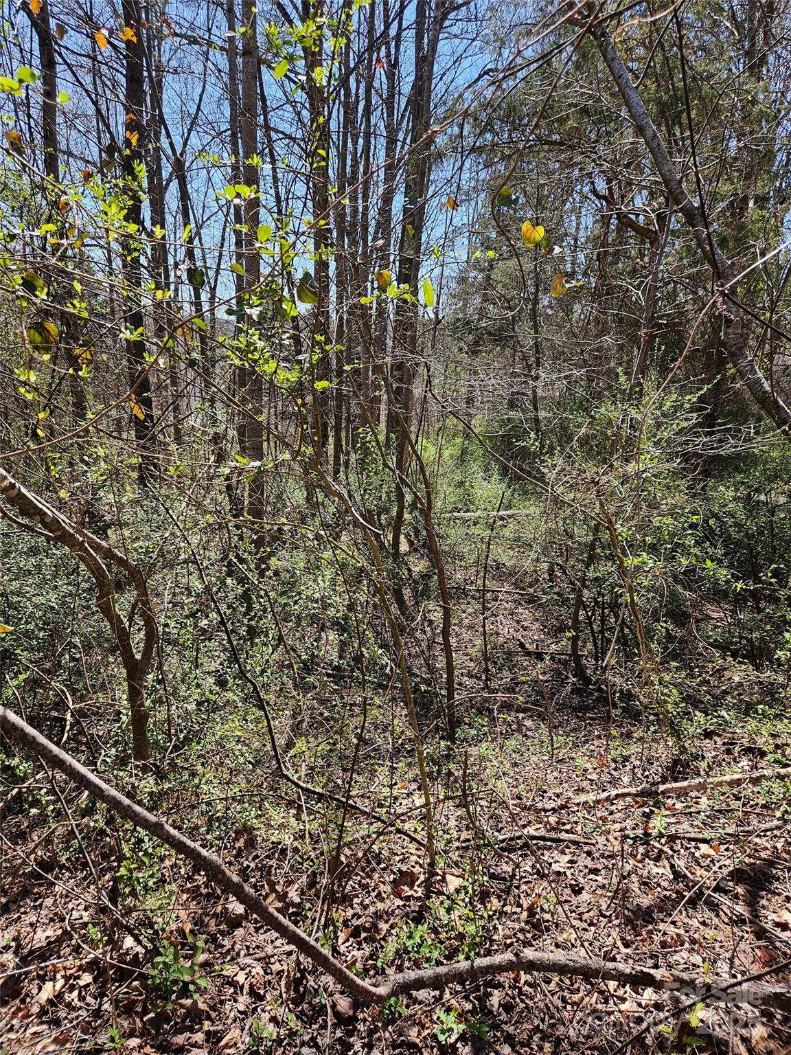 0 Gray Court Rutherfordton NC 28139