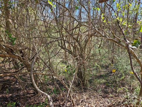 0 Gray Court Rutherfordton NC 28139