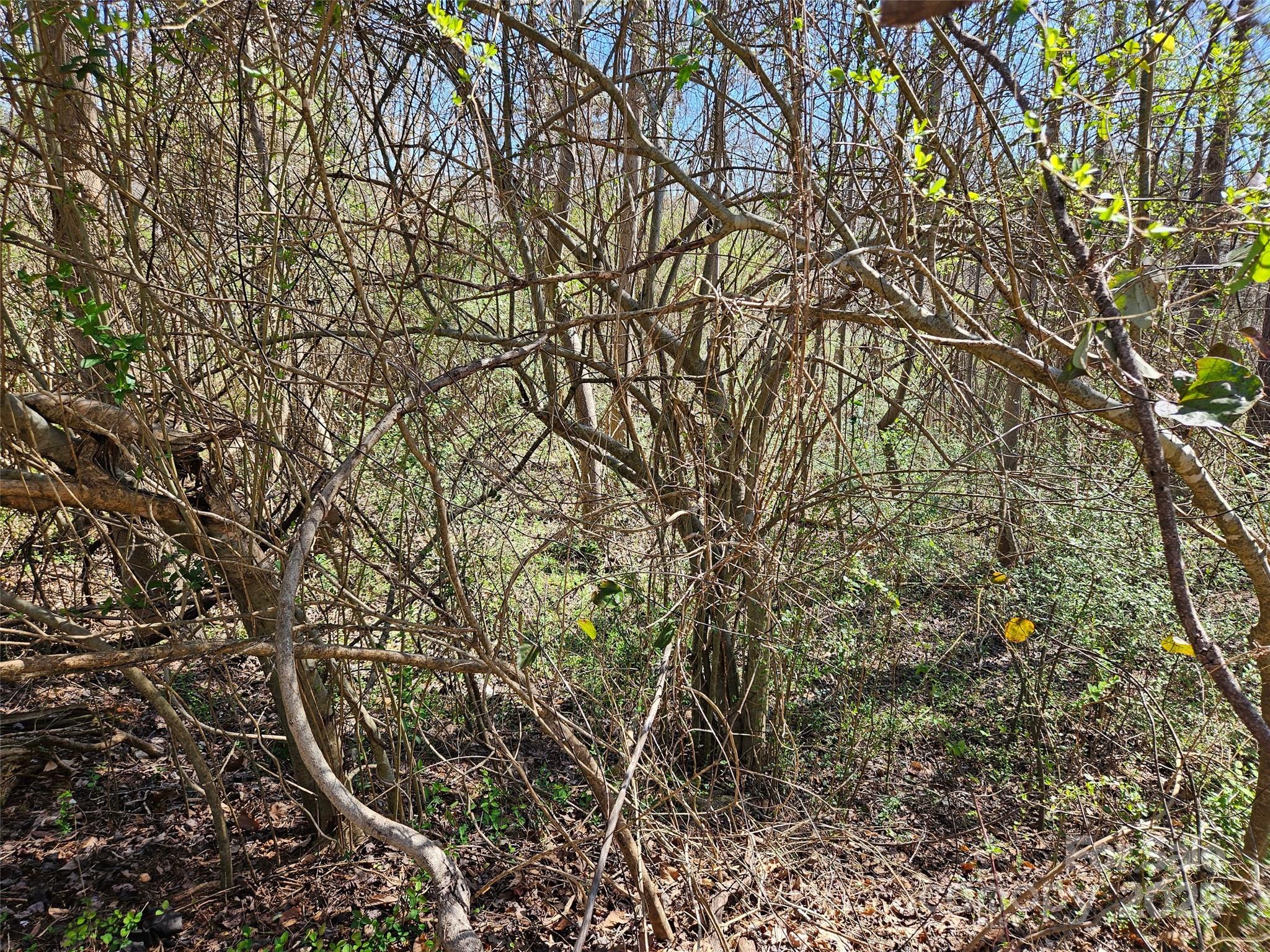 0 Gray Court Rutherfordton NC 28139
