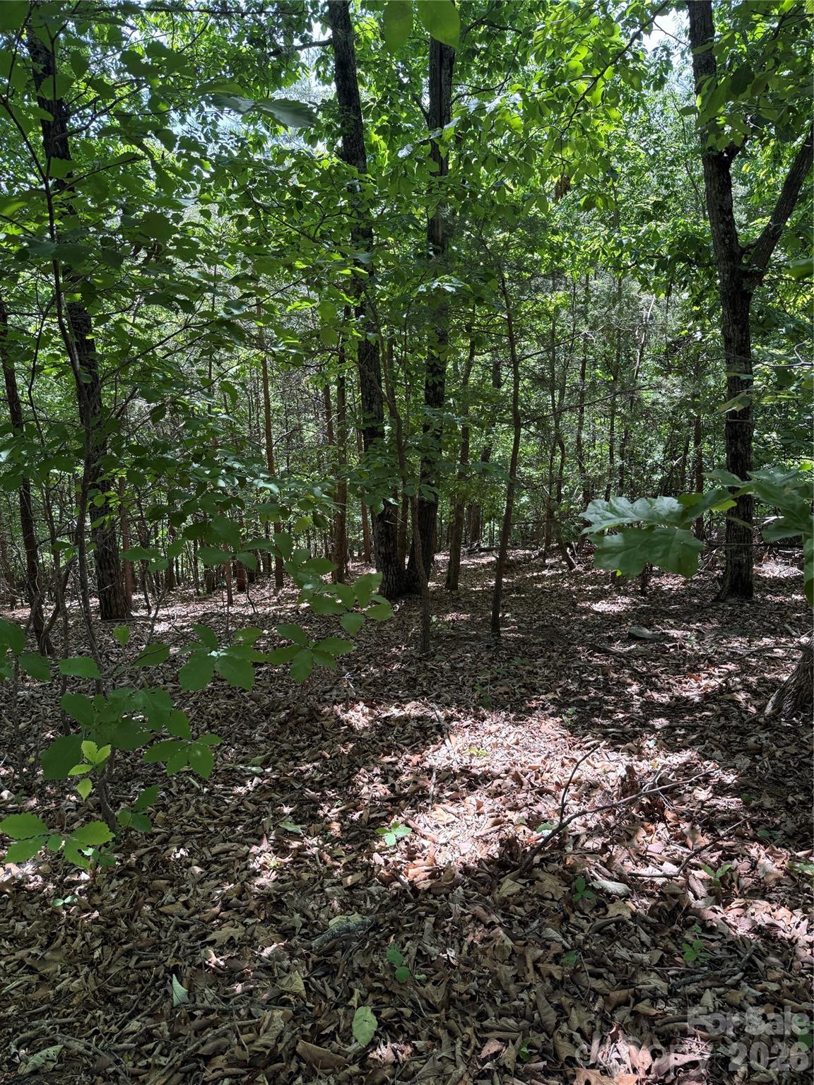 11 Summit Parkway Bostic NC 28018