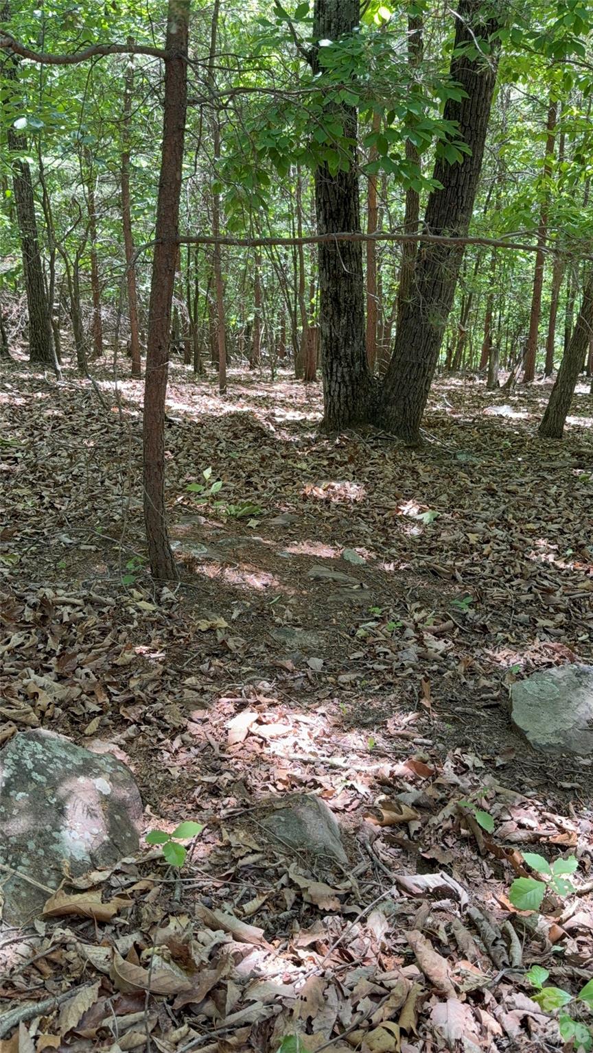 11 Summit Parkway Bostic NC 28018