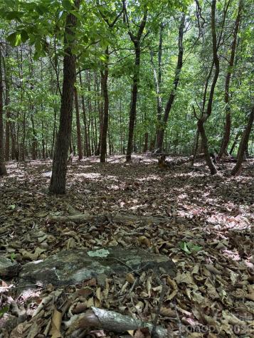 11 Summit Parkway Bostic NC 28018