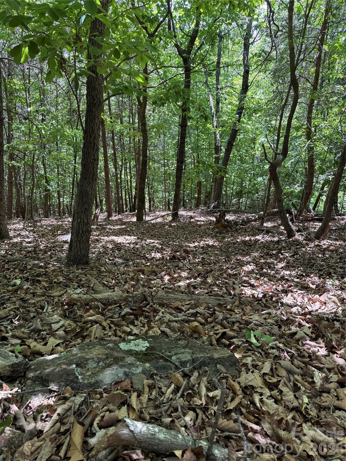 11 Summit Parkway Bostic NC 28018