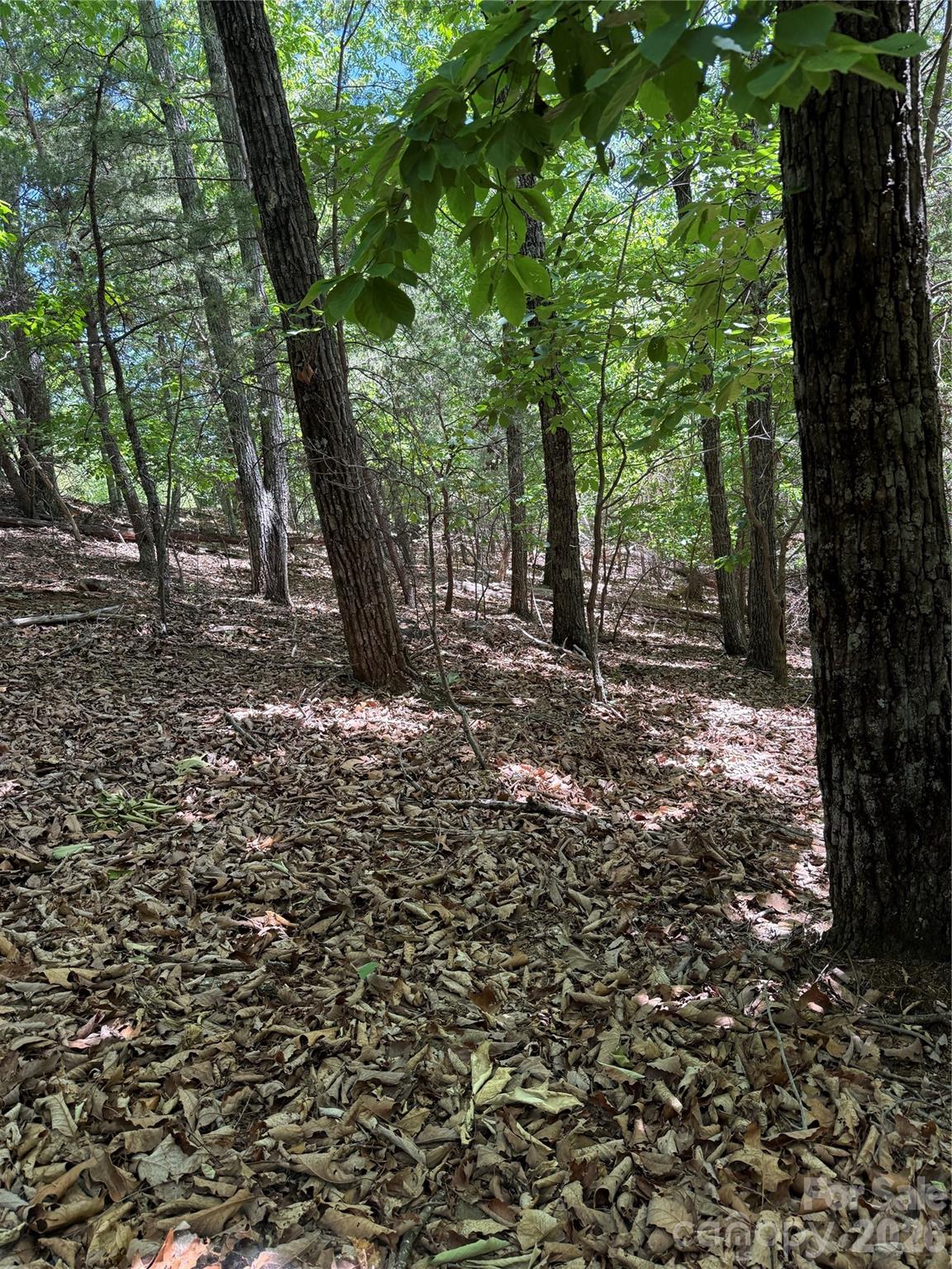 11 Summit Parkway Bostic NC 28018