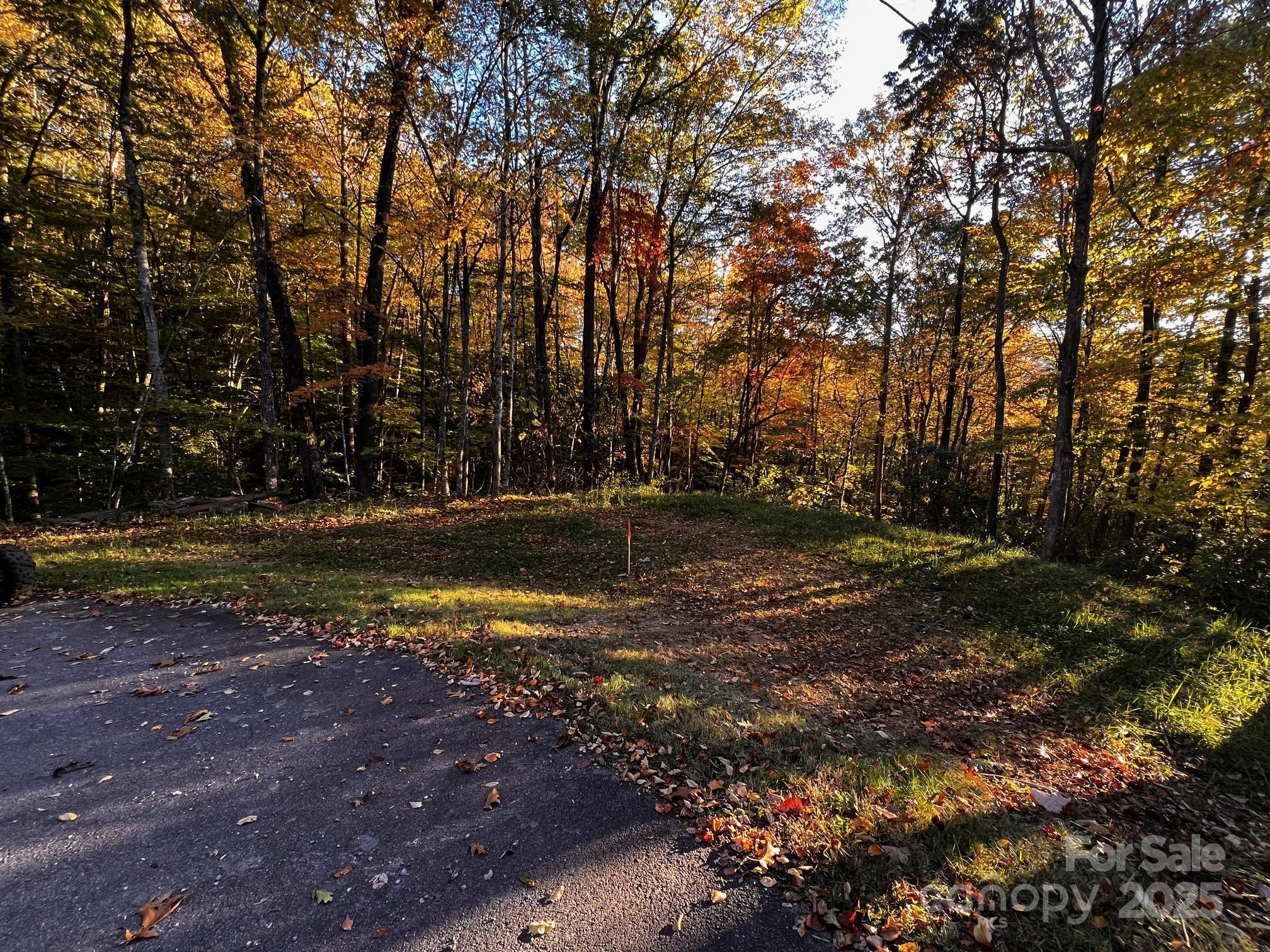 00 Rocky Face Drive Canton NC 28716