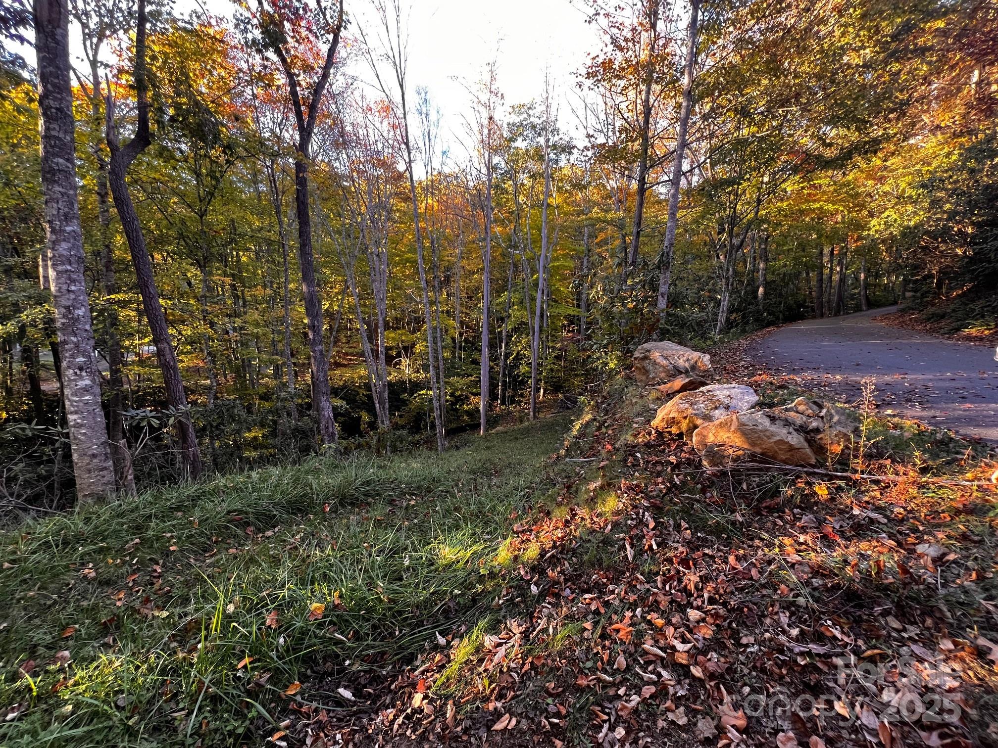 00 Rocky Face Drive Canton NC 28716