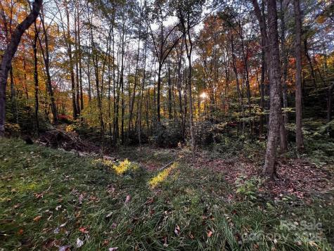 00 Rocky Face Drive Canton NC 28716