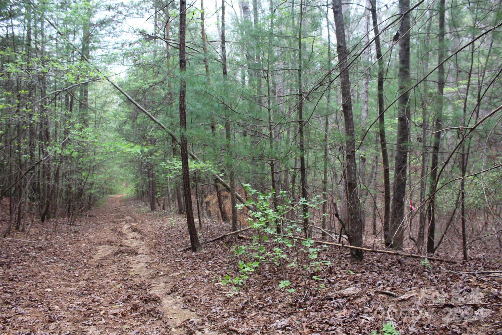 350 Sycamore Avenue NW Valdese NC 28690