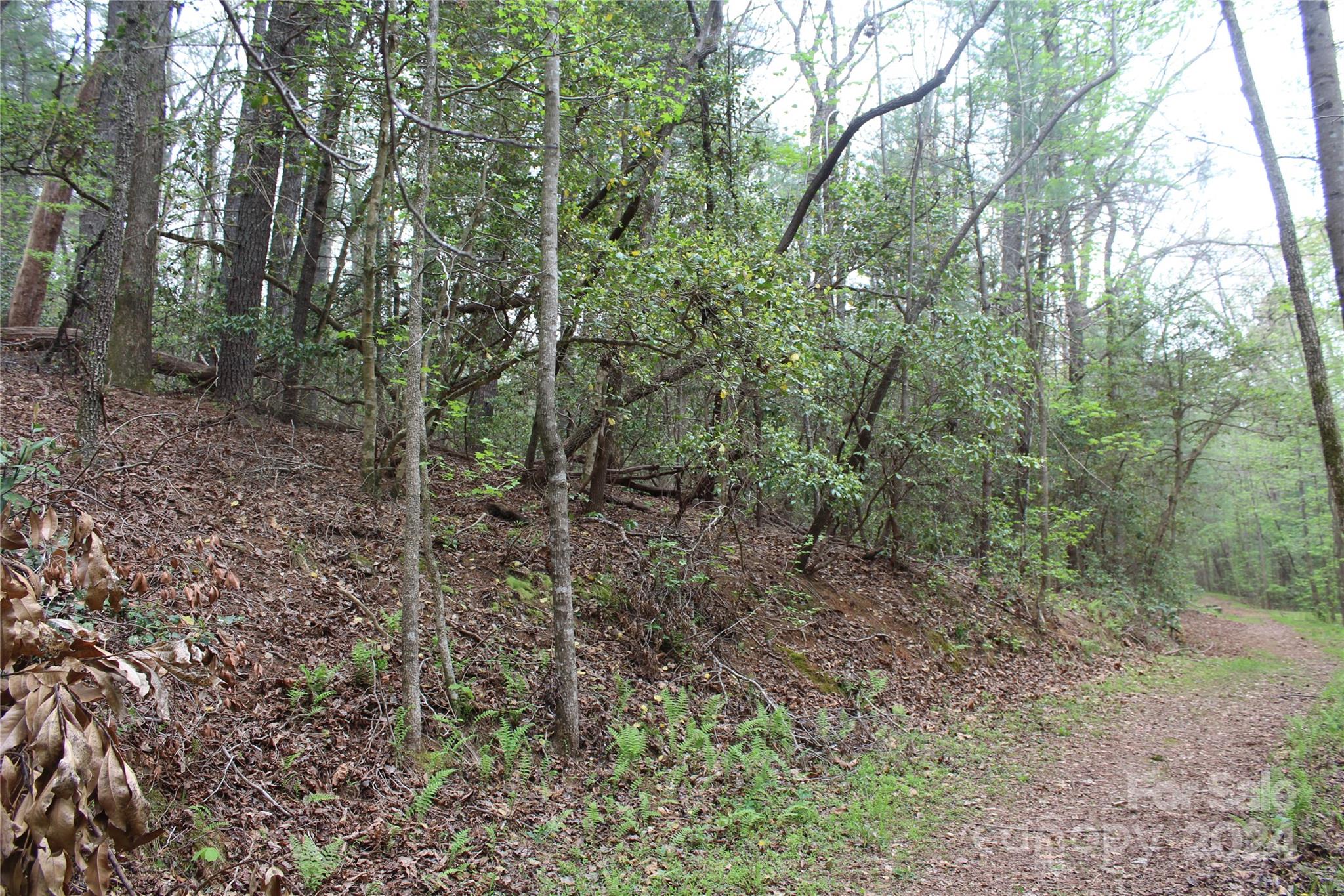 350 Sycamore Avenue NW Valdese NC 28690