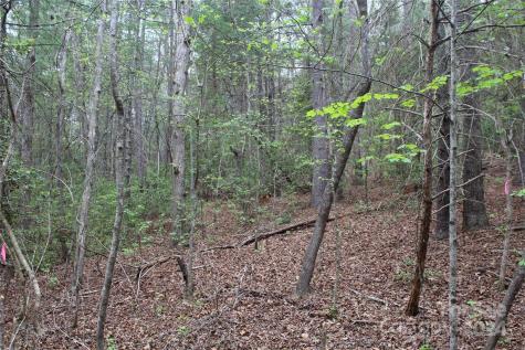 350 Sycamore Avenue NW Valdese NC 28690
