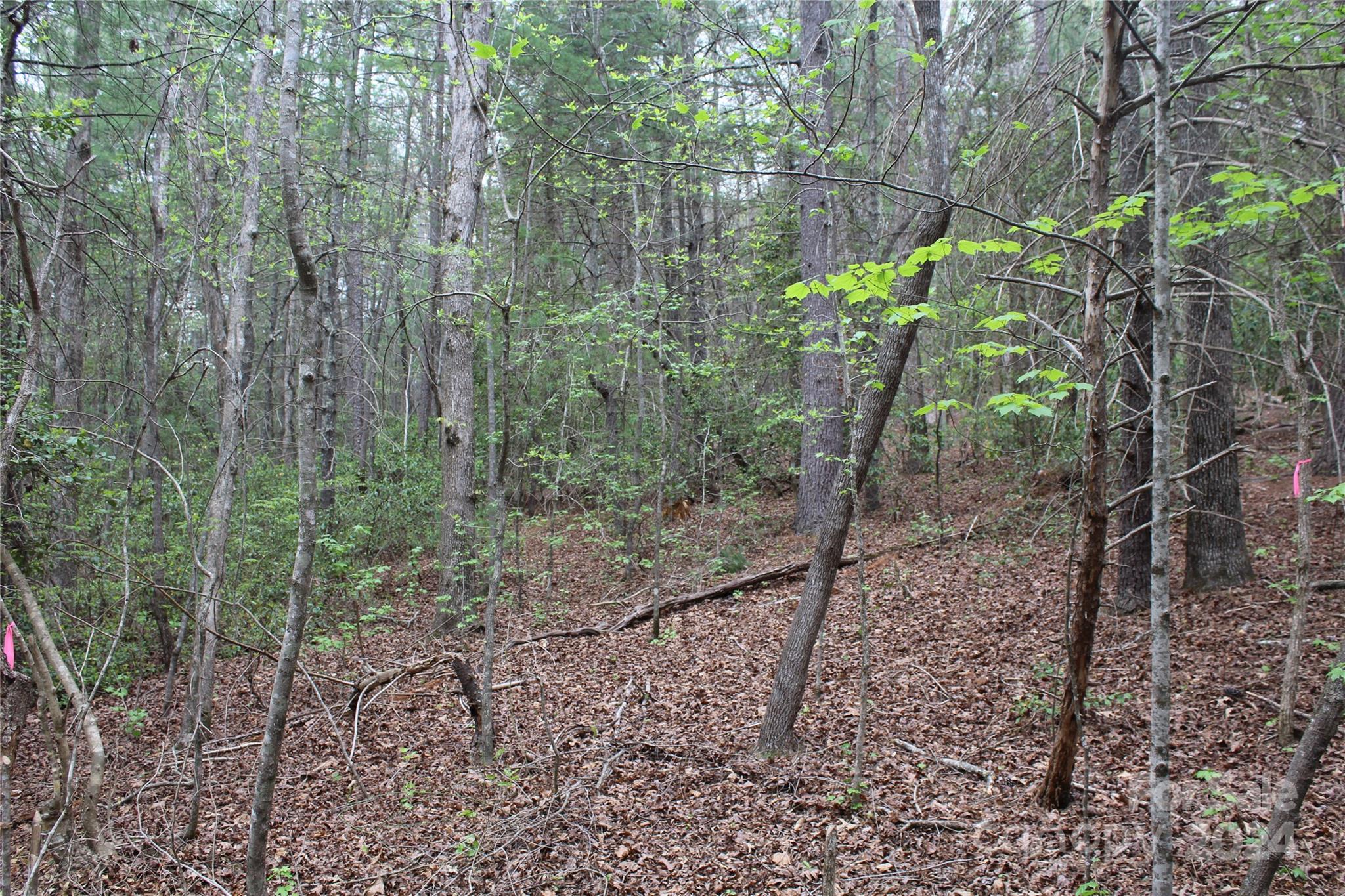 350 Sycamore Avenue NW Valdese NC 28690