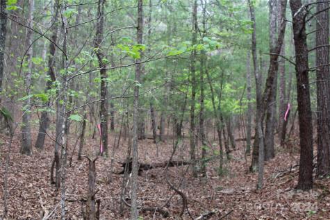 350 Sycamore Avenue NW Valdese NC 28690