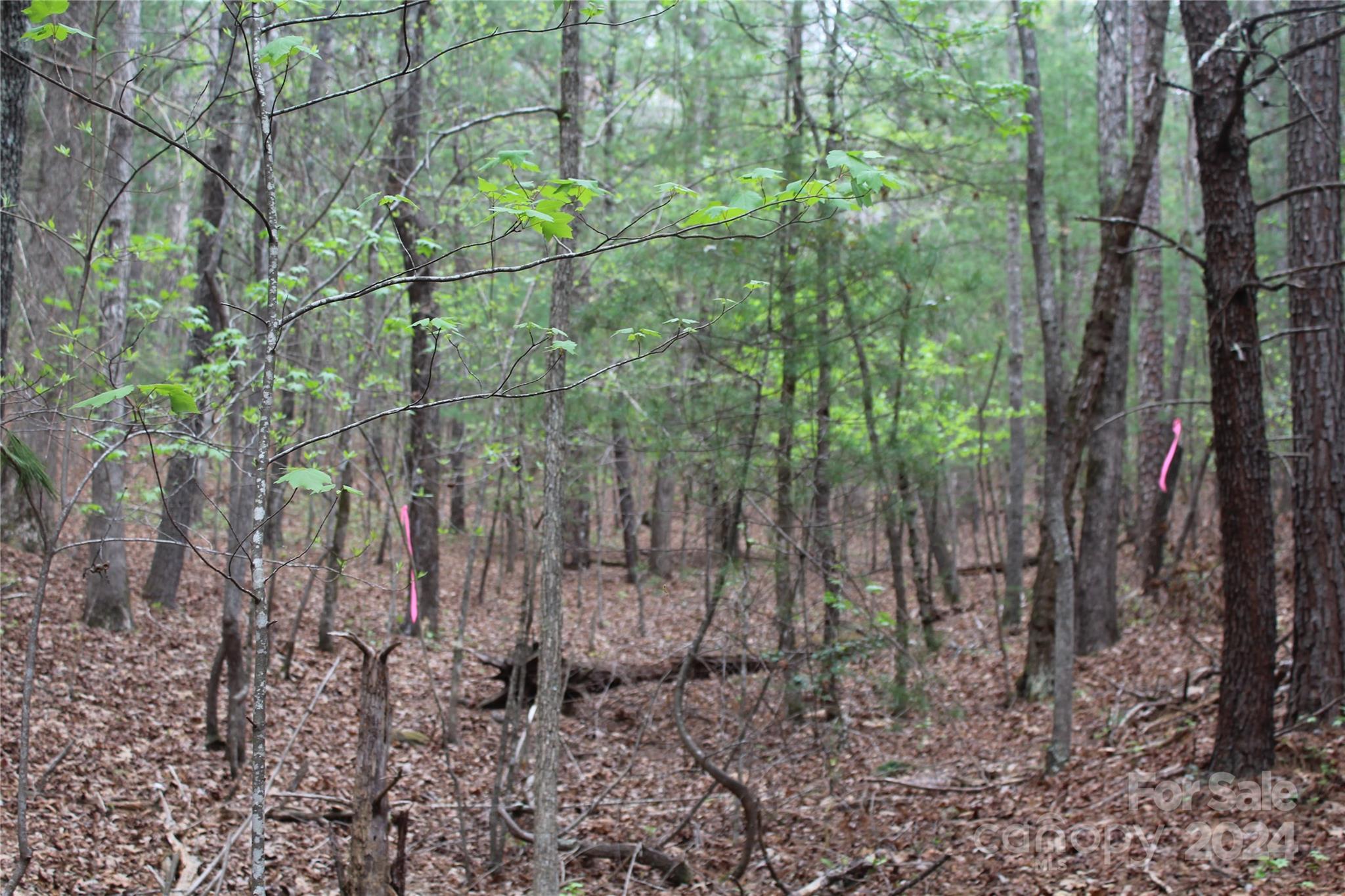 350 Sycamore Avenue NW Valdese NC 28690