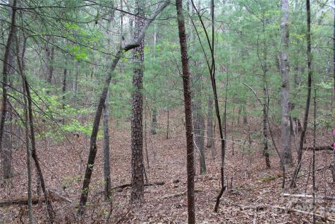 350 Sycamore Avenue NW Valdese NC 28690